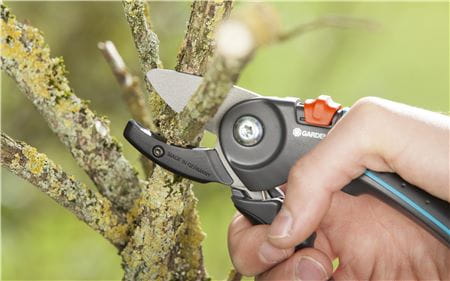 The right choice for cutting of flowers, bushes and branches