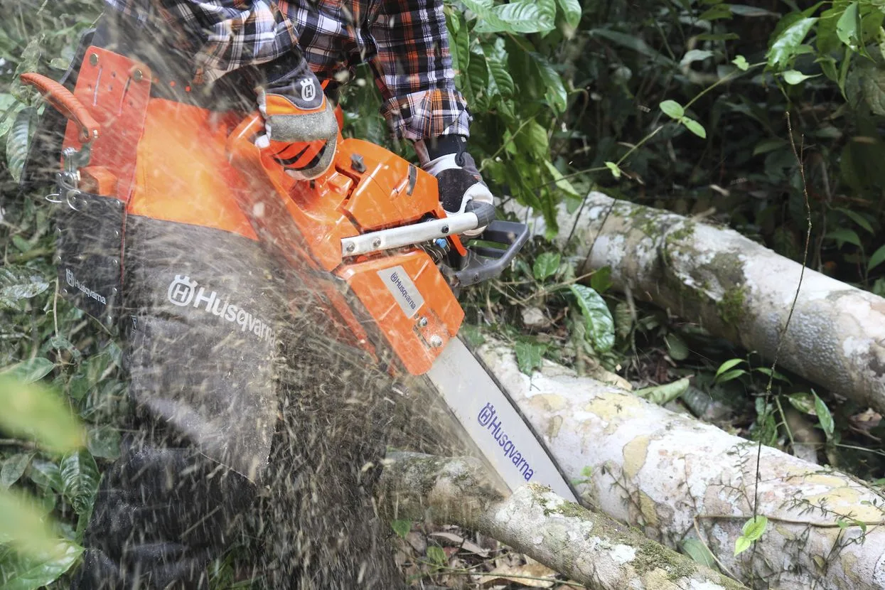 Máy cưa xích Husqvarna 365 - Ảnh 3