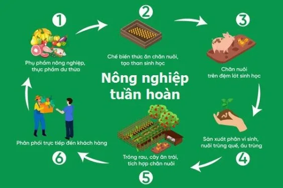 THÚC ĐẨY SẢN XUẤT NÔNG NGHIỆP TUẦN HOÀN