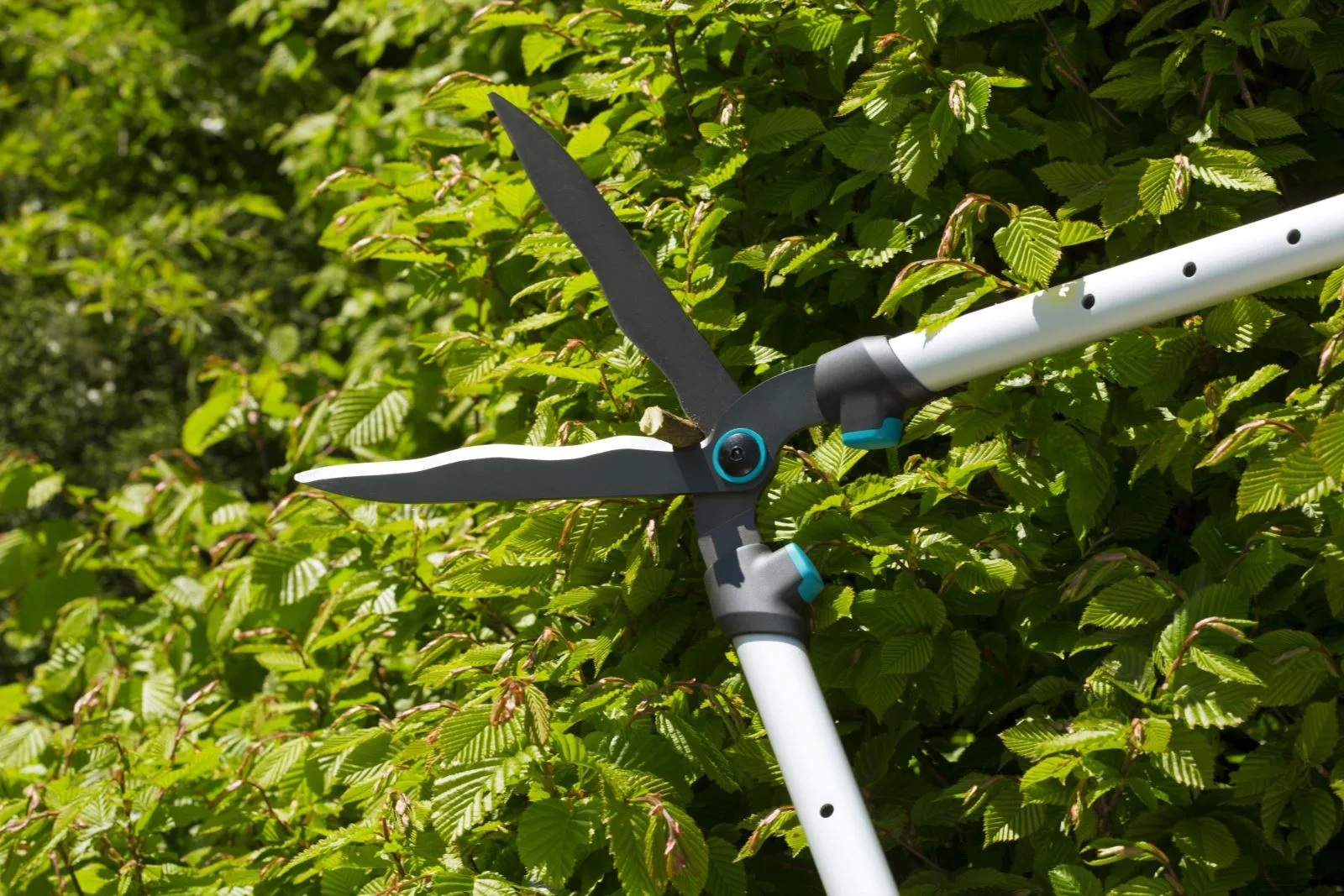 Kéo tỉa rào thay đổi chiều dài Gardena 12304-20 - Ảnh 3