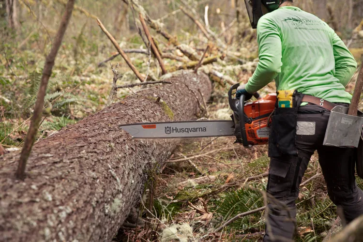 Máy cưa xích Husqvarna 585 - Ảnh 4