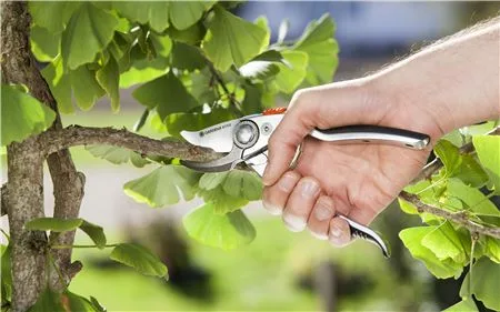 Kéo cắt cành cao cấp Gardena 08702-20