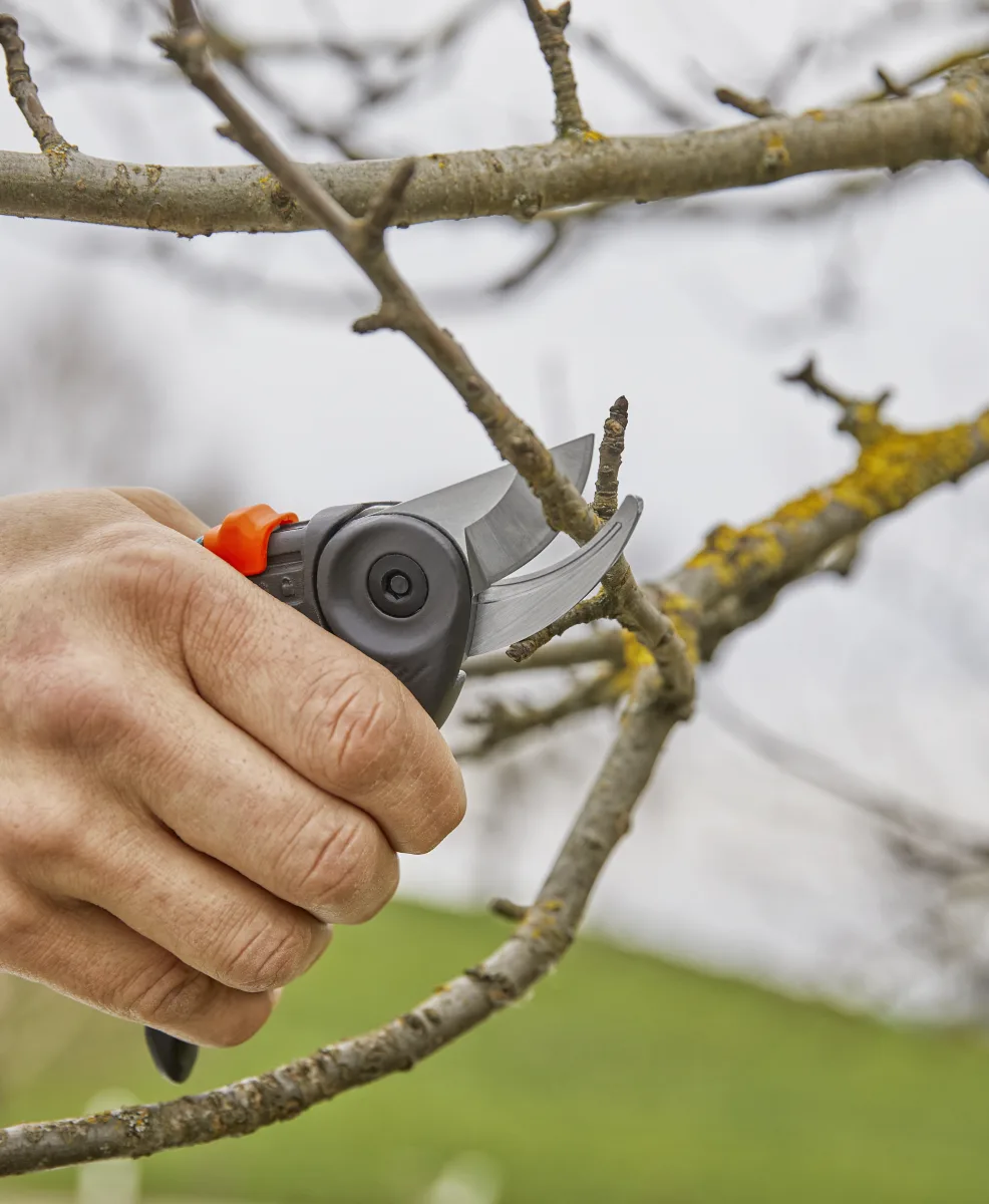 Kéo cắt cành Expertcut Gardena 12203-20 - Ảnh 5