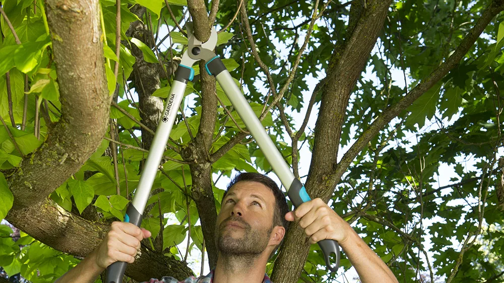 Kìm cắt cành cán dài 68cm Gardena 12003-20