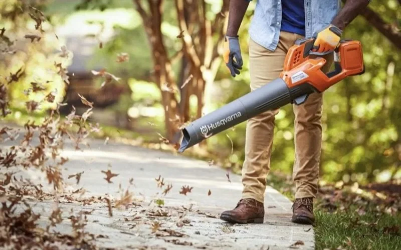 Những điều bạn cần biết về máy thổi lá - Công cụ dọn dẹp tiện lợi và hiệu quả cho sân vườn.